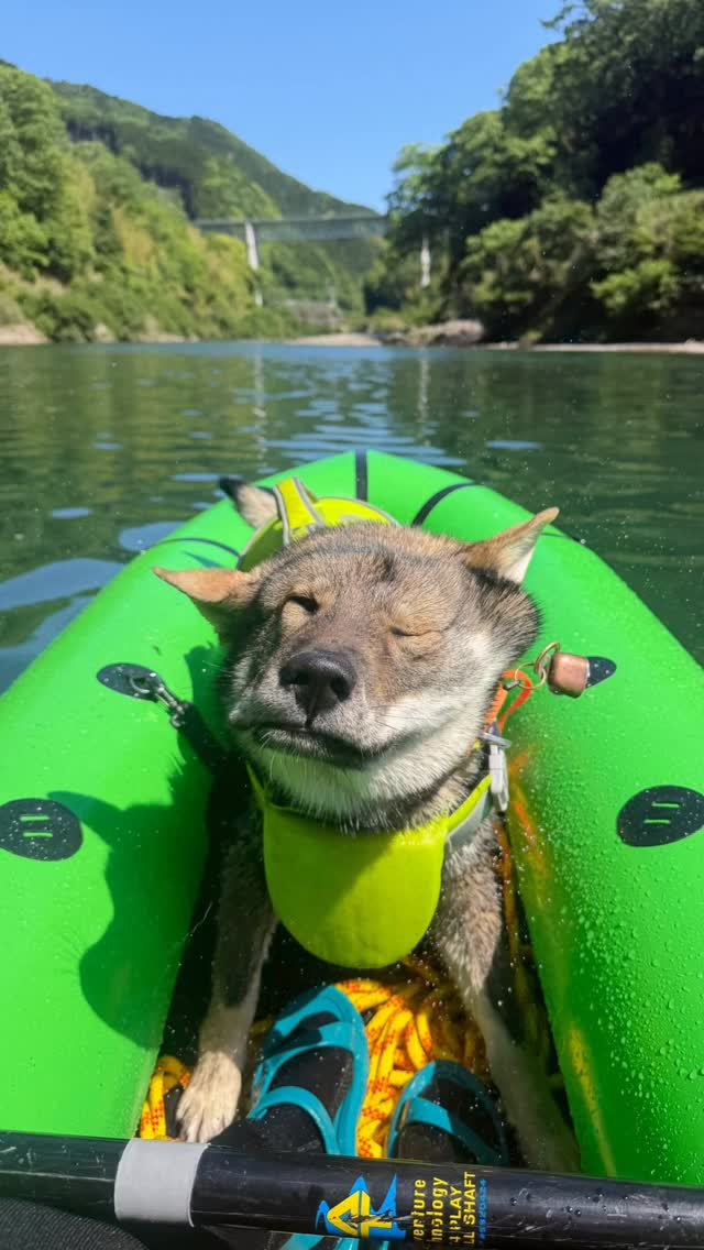 🐕🚣‍♂️ 愛犬と一緒に のんびりパックラフトツアー！